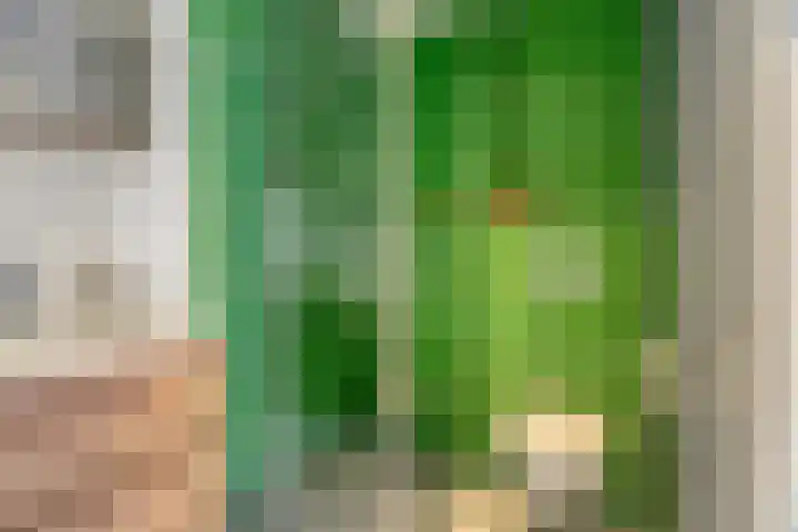 Jelle Posthumapad 4 Amsterdam thumbnail 31