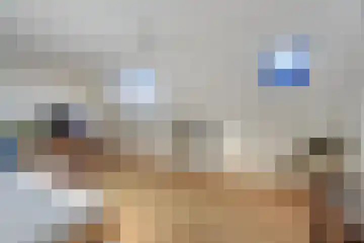 Jelle Posthumapad 4 Amsterdam thumbnail 36
