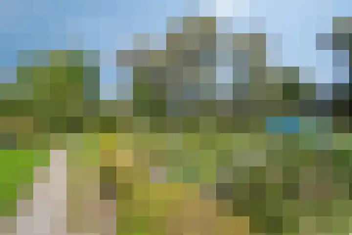Jelle Posthumapad 4 Amsterdam thumbnail 40