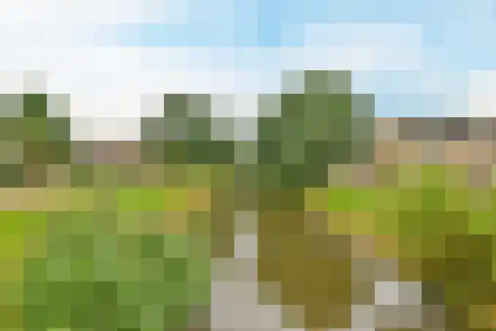 Jelle Posthumapad 4 Amsterdam thumbnail 44