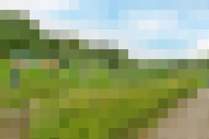 Jelle Posthumapad 4 Amsterdam thumbnail 46