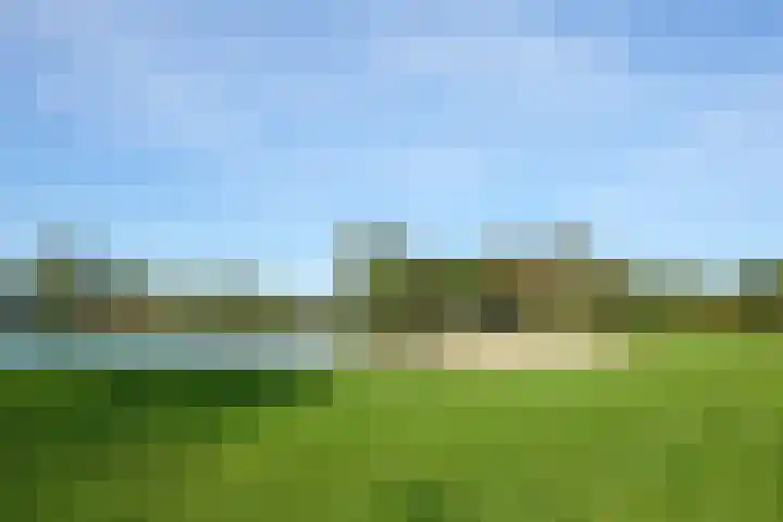 Jelle Posthumapad 4 Amsterdam thumbnail 47