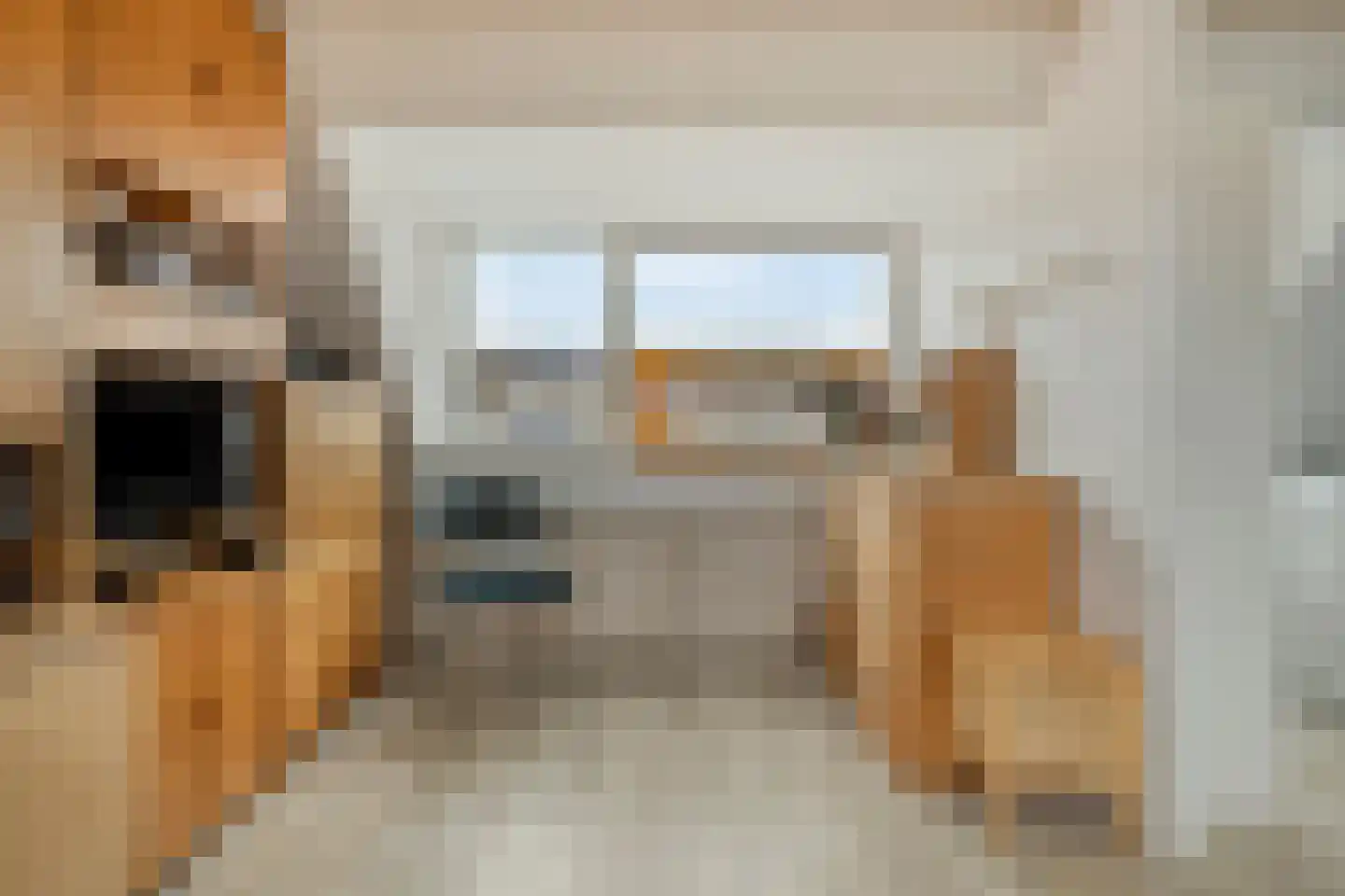 Jelle Posthumapad 62 Amsterdam thumbnail 39