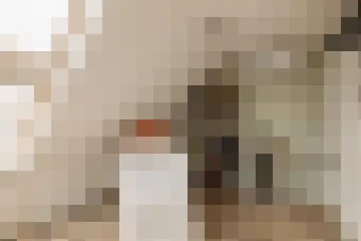 Jelle Posthumapad 97 Amsterdam thumbnail 26