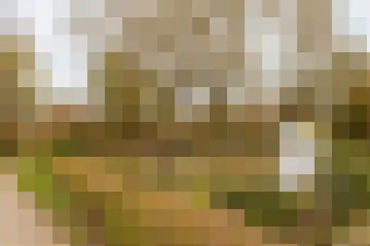 Jelle Posthumapad 97 Amsterdam thumbnail 37