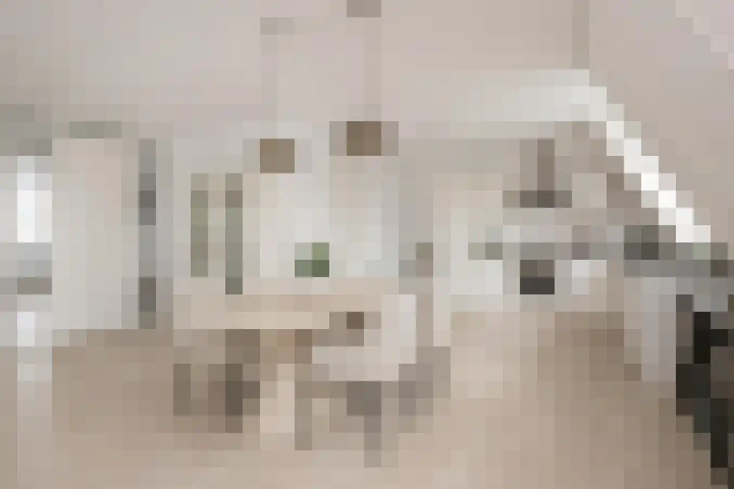 Jelle van Damweg 2 A Jubbega thumbnail 12
