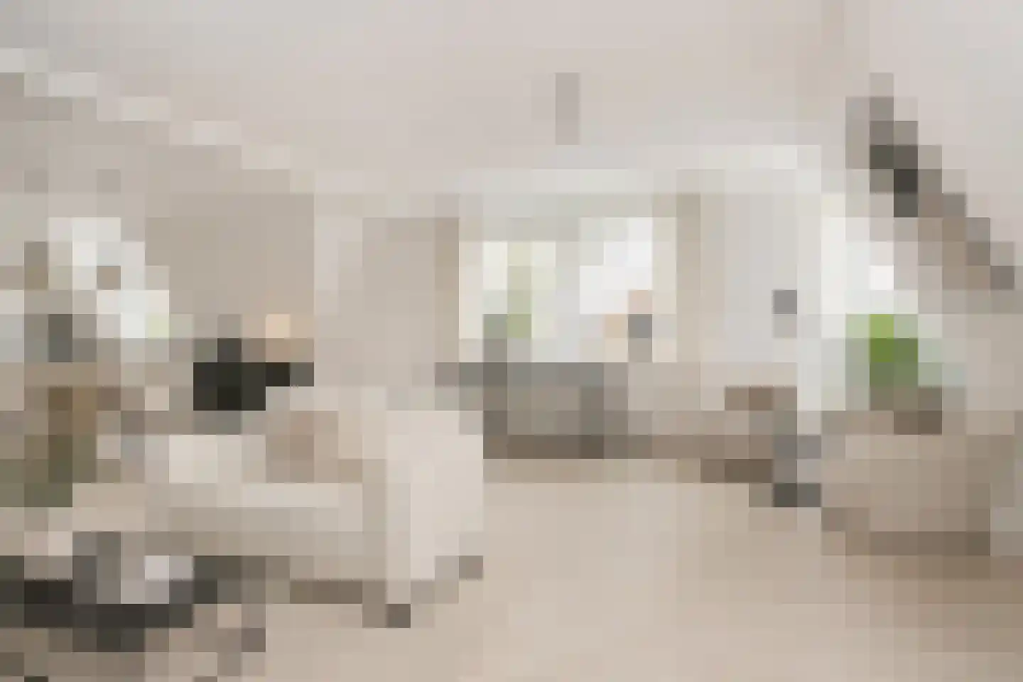 Jelle van Damweg 2 A Jubbega thumbnail 14