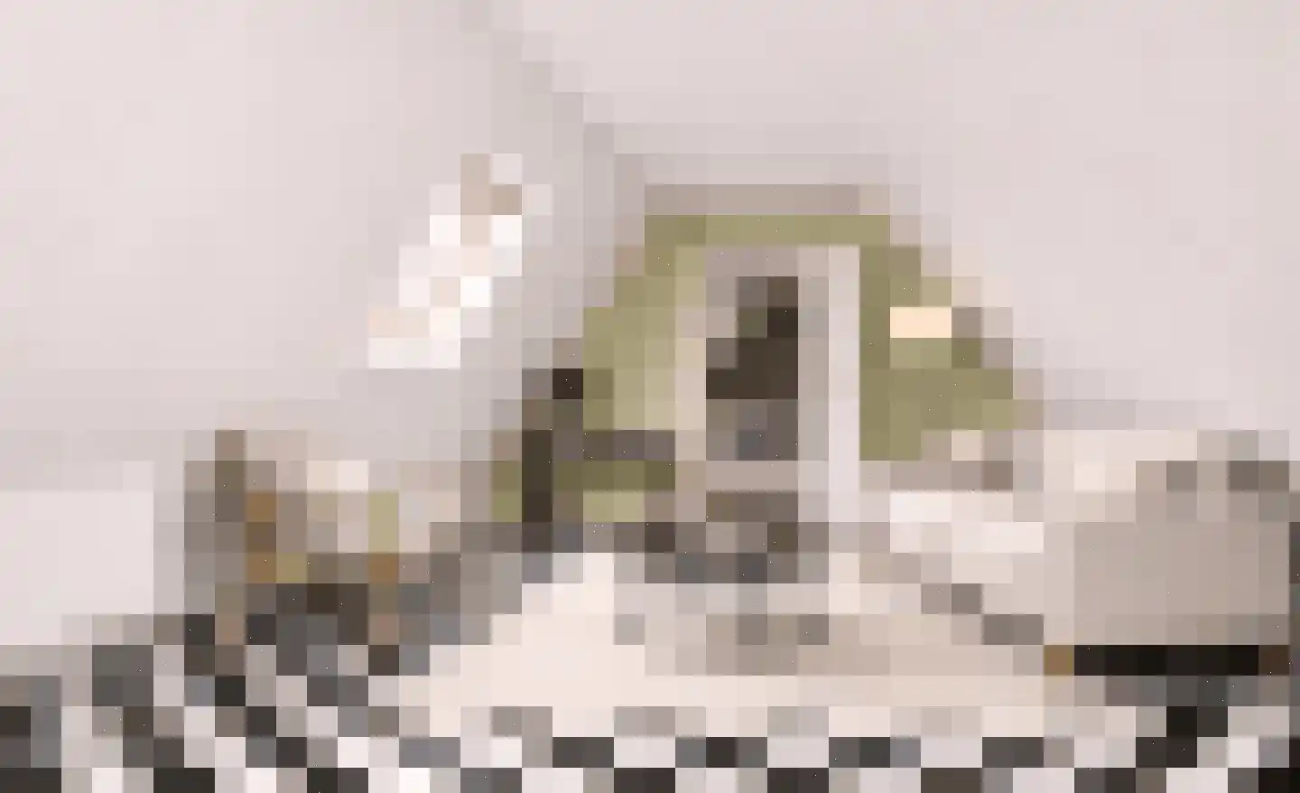 Jelle van Damweg 2 A Jubbega thumbnail 19