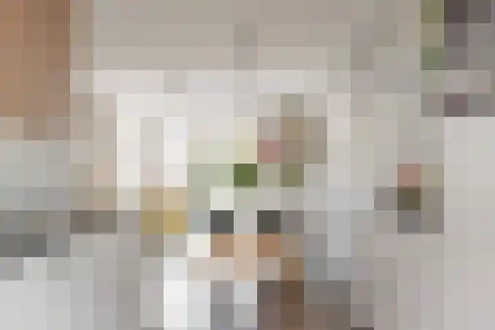 Jelle Zijlstrahof 10 Woerden thumbnail 13