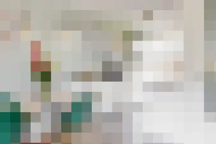 Jelle Zijlstrahof 10 Woerden thumbnail 16