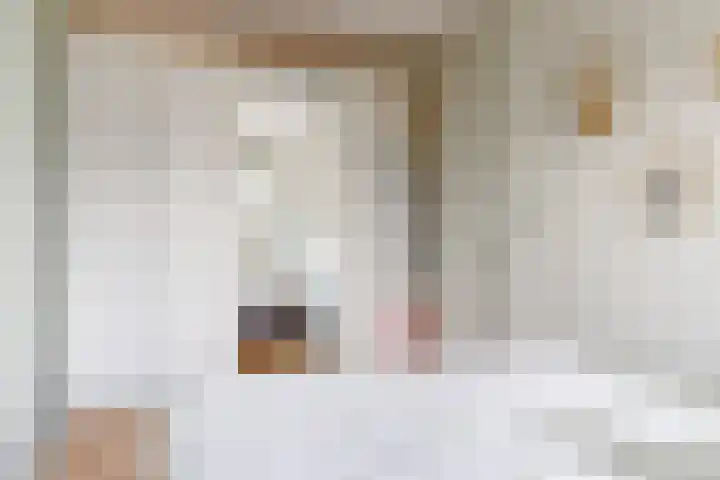 Jelle Zijlstrahof 10 Woerden thumbnail 23