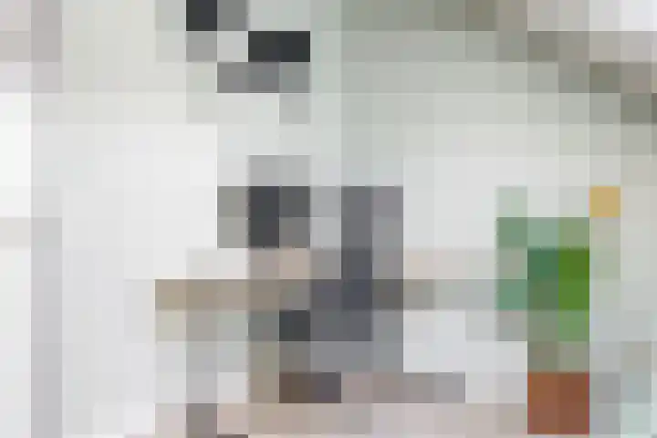 Jelle Zijlstrahof 10 Woerden thumbnail 31