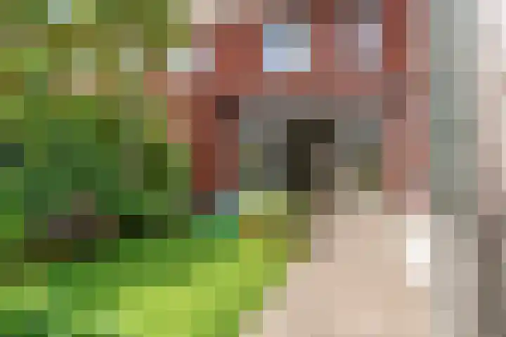 Jelle Zijlstrahof 10 Woerden thumbnail 38