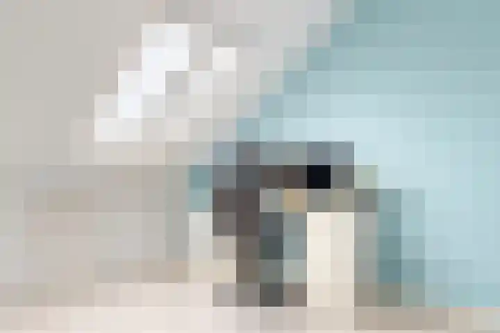 Jelle Zijlstrahof 20 Woerden thumbnail 22
