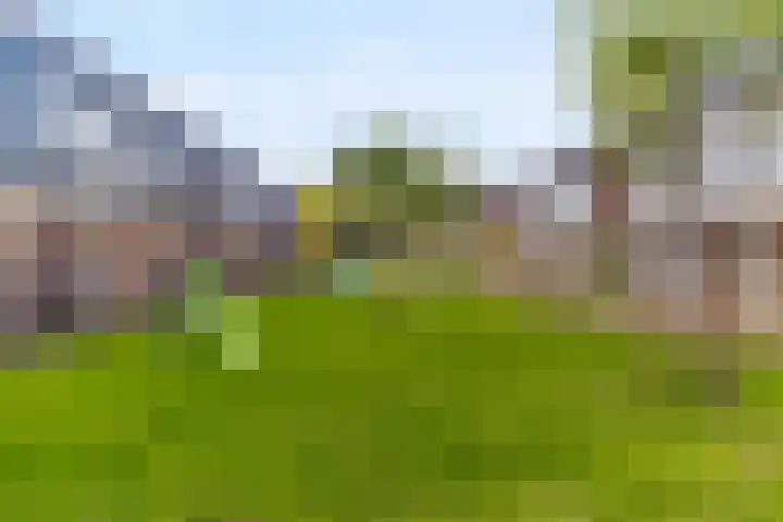 Jelle Zijlstrahof 20 Woerden thumbnail 31