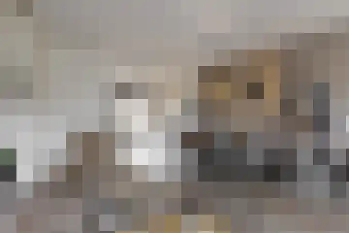 Jelle Zijlstrahof 3 Woerden thumbnail 10