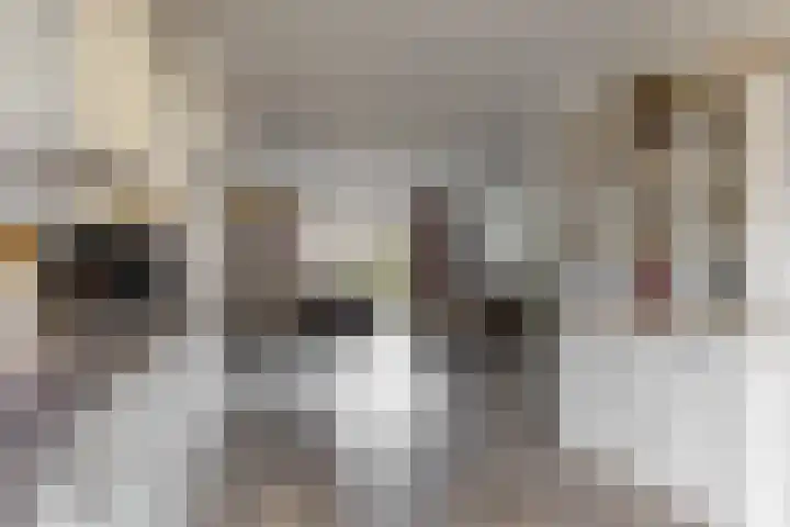 Jelle Zijlstrahof 3 Woerden thumbnail 12