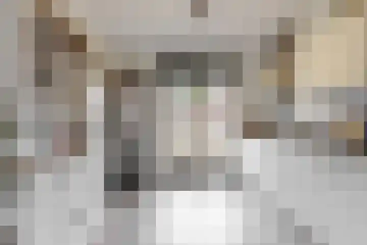 Jelle Zijlstrahof 3 Woerden thumbnail 13
