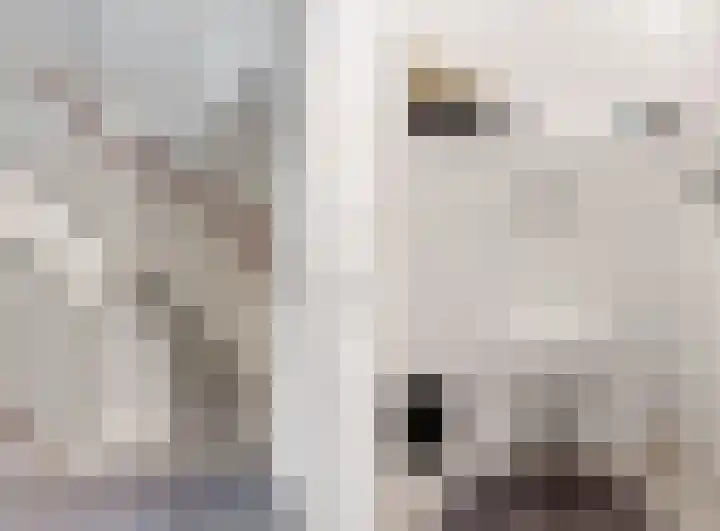 Jelle Zijlstrahof 3 Woerden thumbnail 21