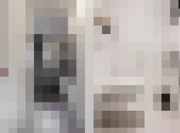 Jelle Zijlstrahof 3 Woerden thumbnail 6