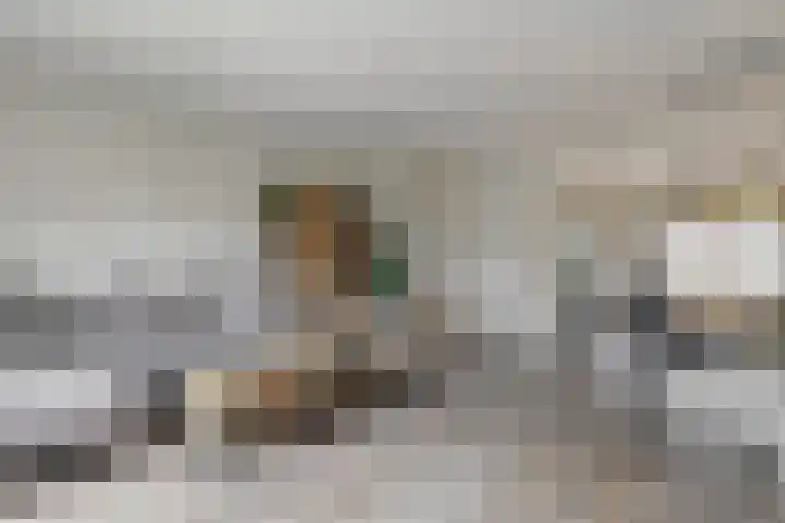 Jelle Zijlstrahof 3 Woerden thumbnail 7