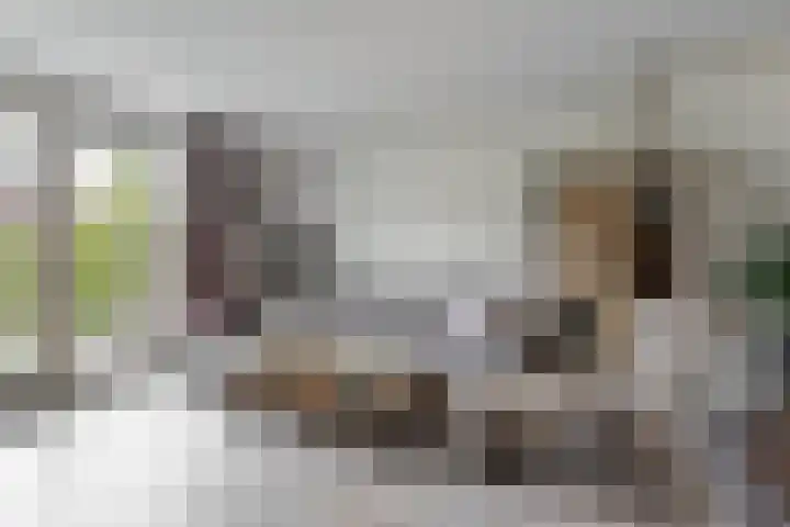 Jelle Zijlstrahof 3 Woerden thumbnail 8