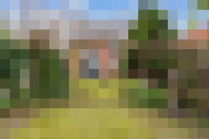 Jellemaweg 56 Zuidhorn thumbnail 30