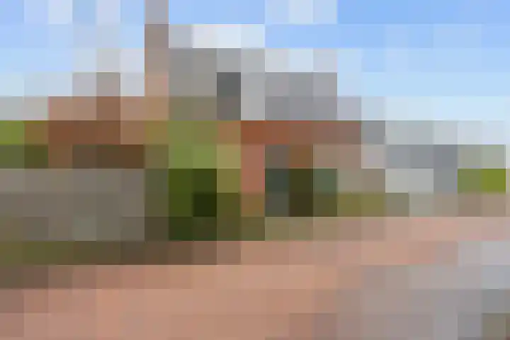 Jellemaweg 56 Zuidhorn thumbnail 6