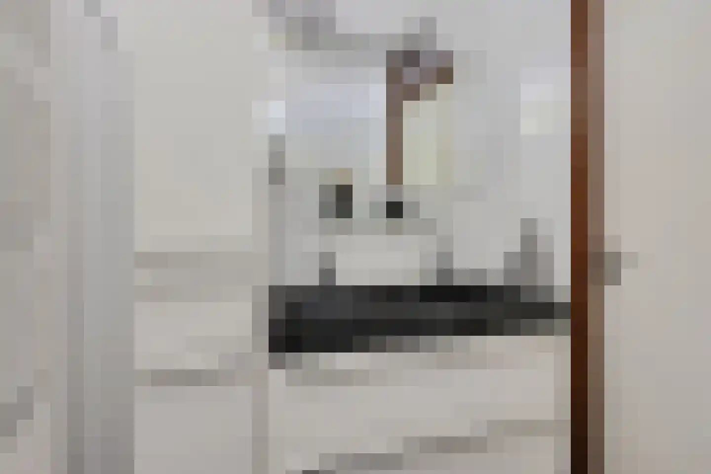 Jellen 18 Sneek thumbnail 19