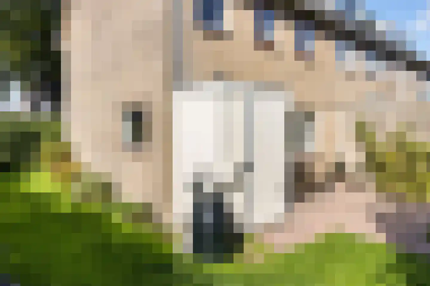 Jellen 18 Sneek thumbnail 33