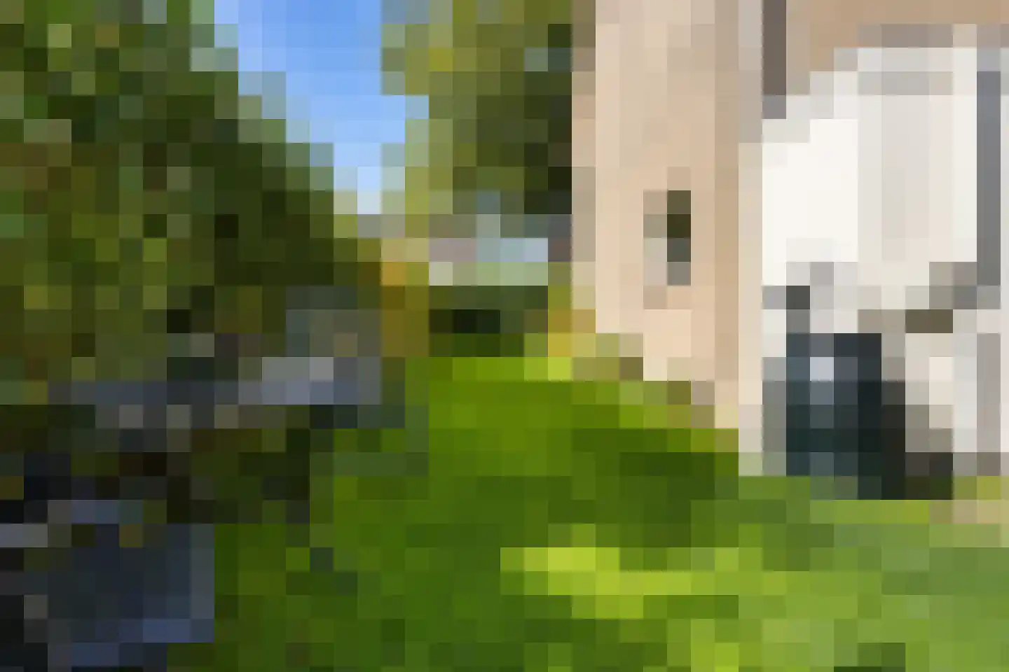 Jellen 18 Sneek thumbnail 34