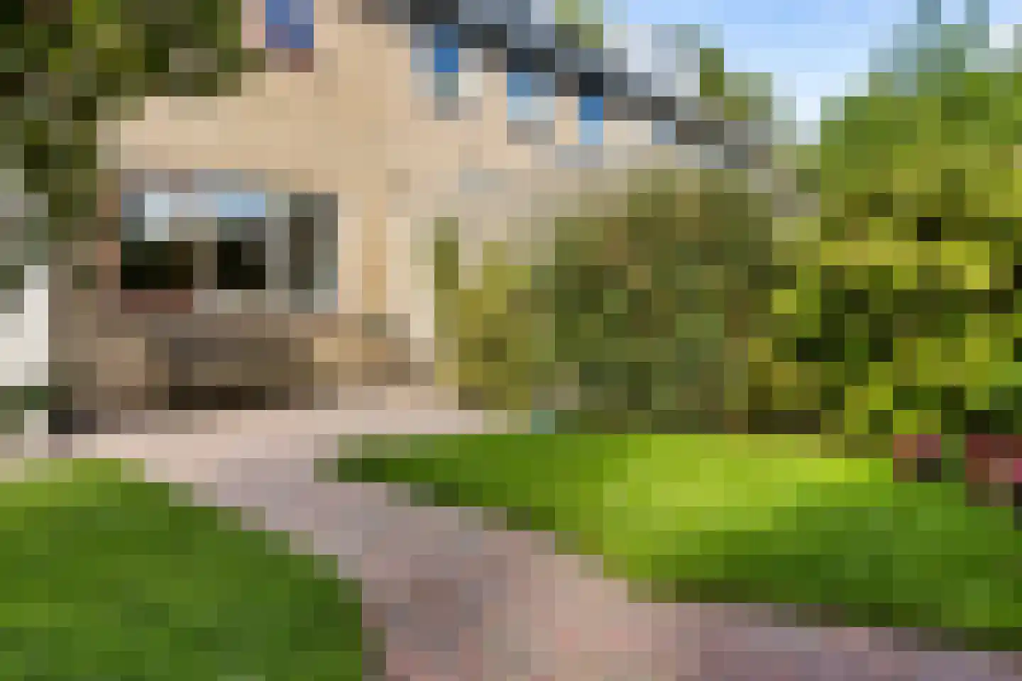 Jellen 18 Sneek thumbnail 36