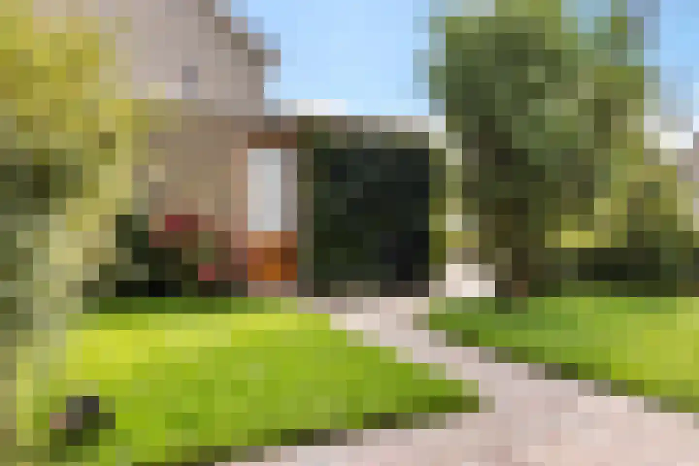 Jellen 18 Sneek thumbnail 37
