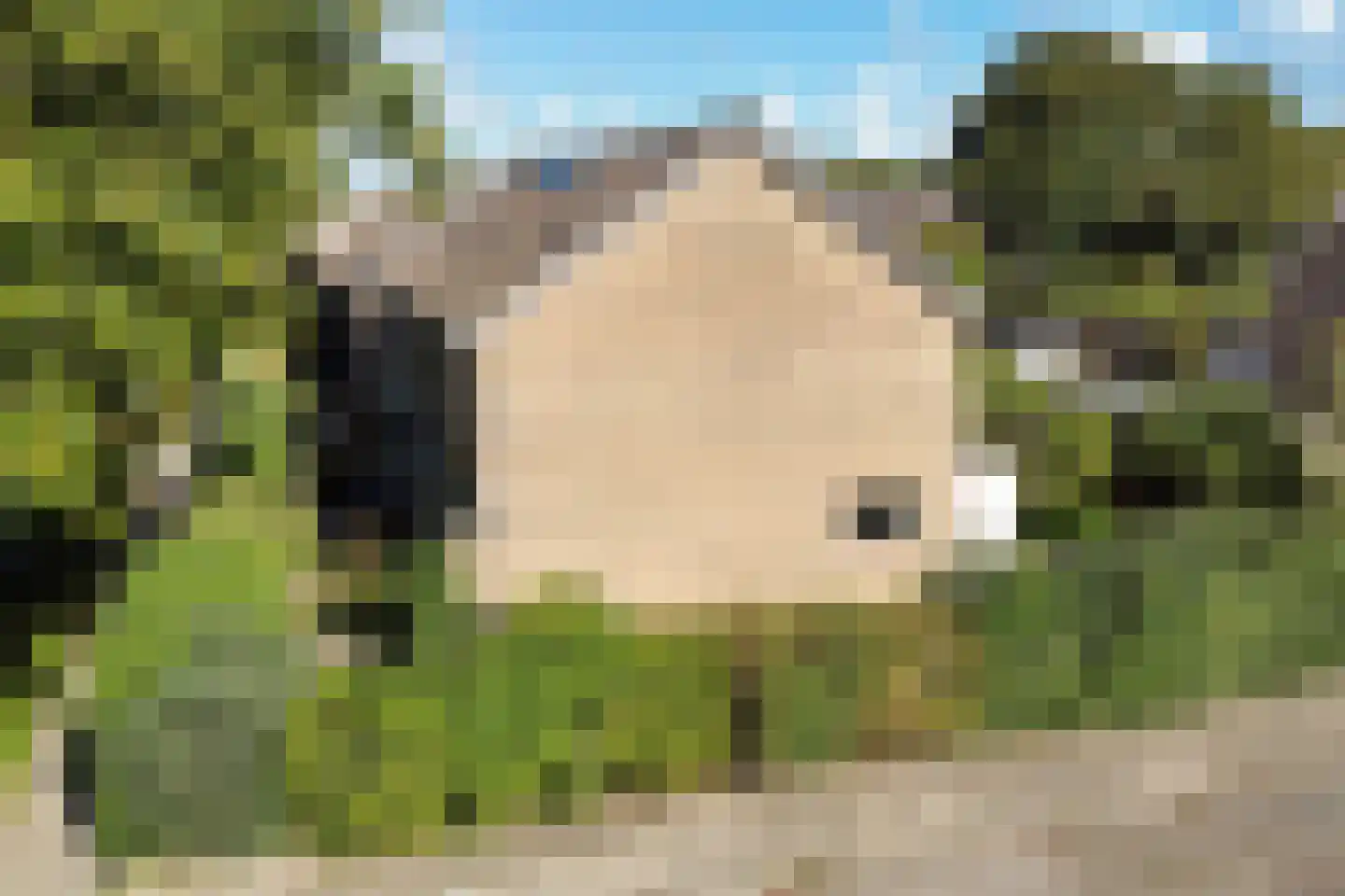 Jellen 18 Sneek thumbnail 38