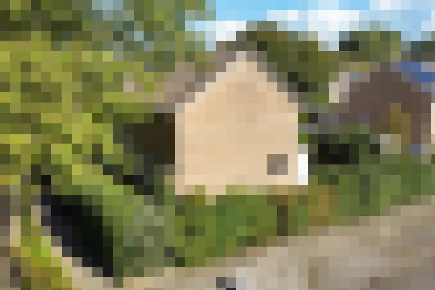 Jellen 18 Sneek thumbnail 39