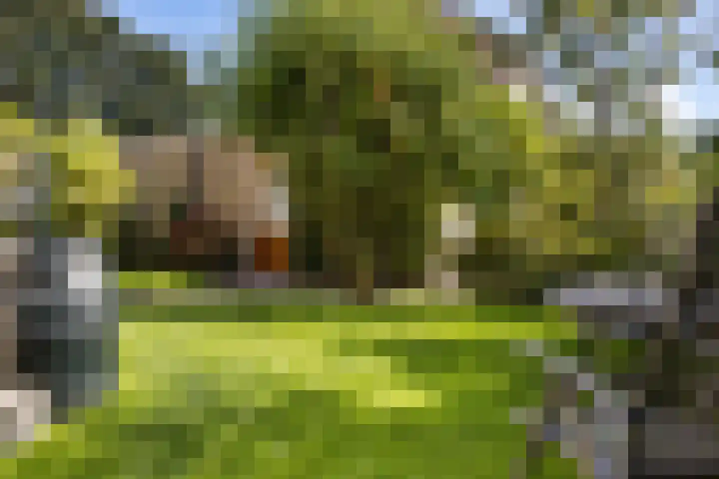 Jellen 18 Sneek thumbnail 4