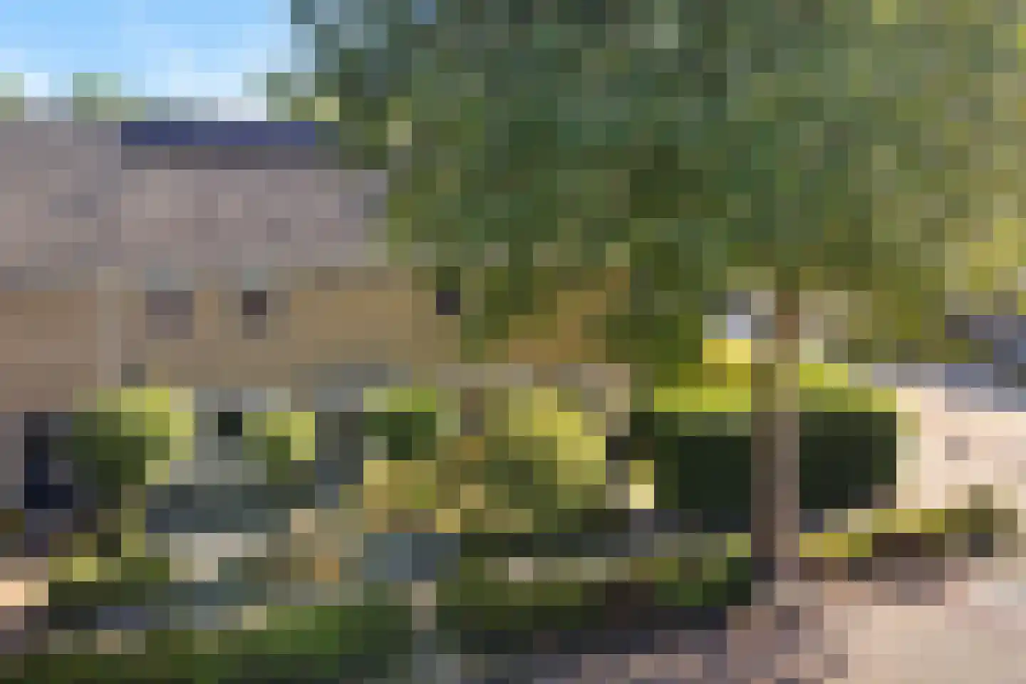 Jellen 18 Sneek thumbnail 40
