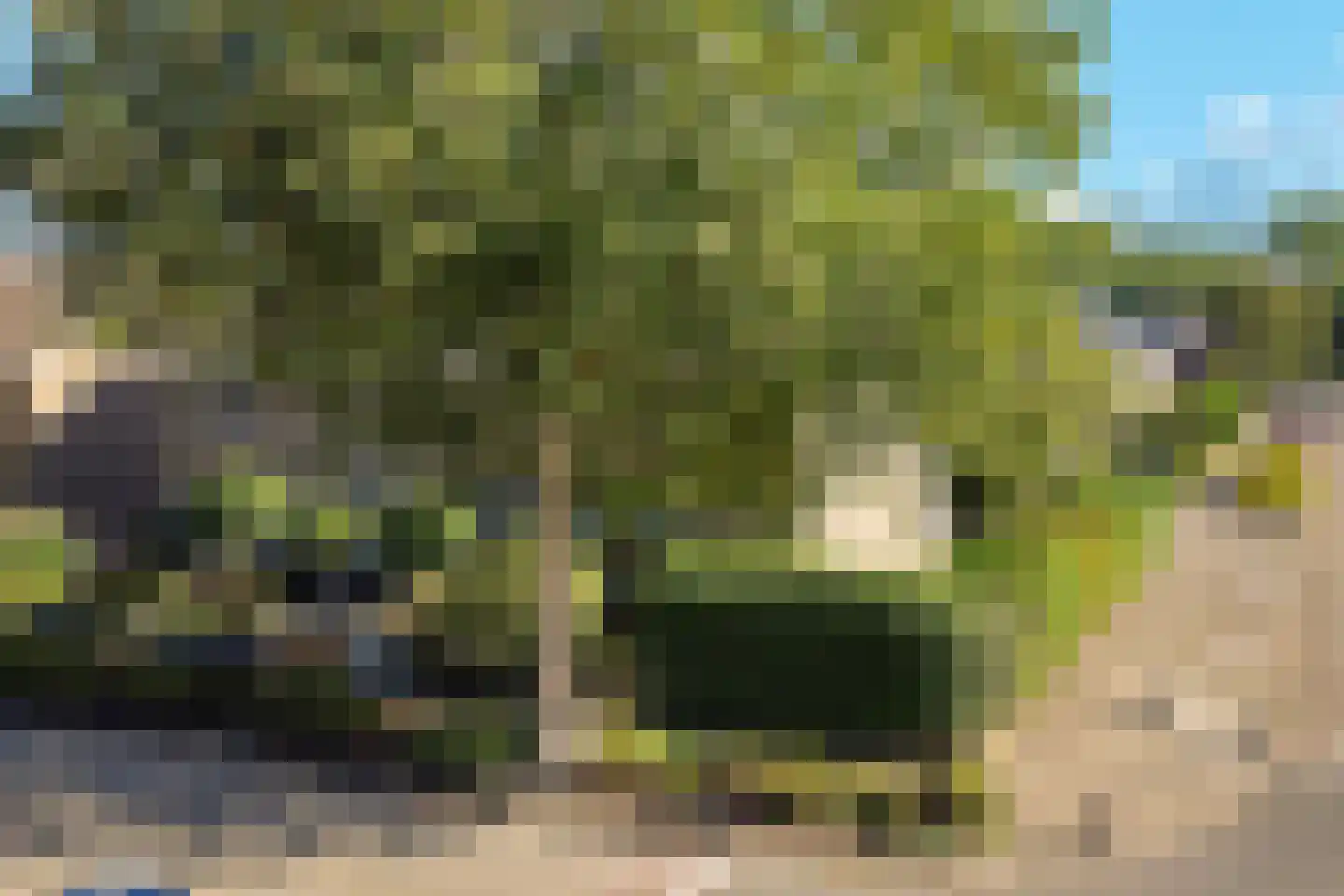 Jellen 18 Sneek thumbnail 42