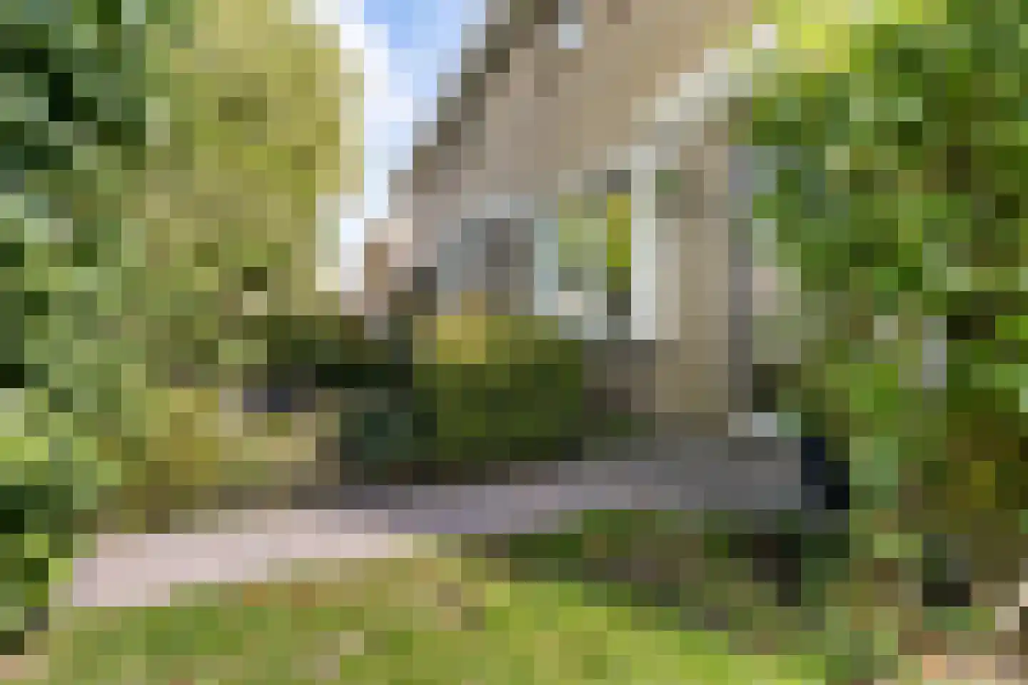 Jellen 18 Sneek thumbnail 44