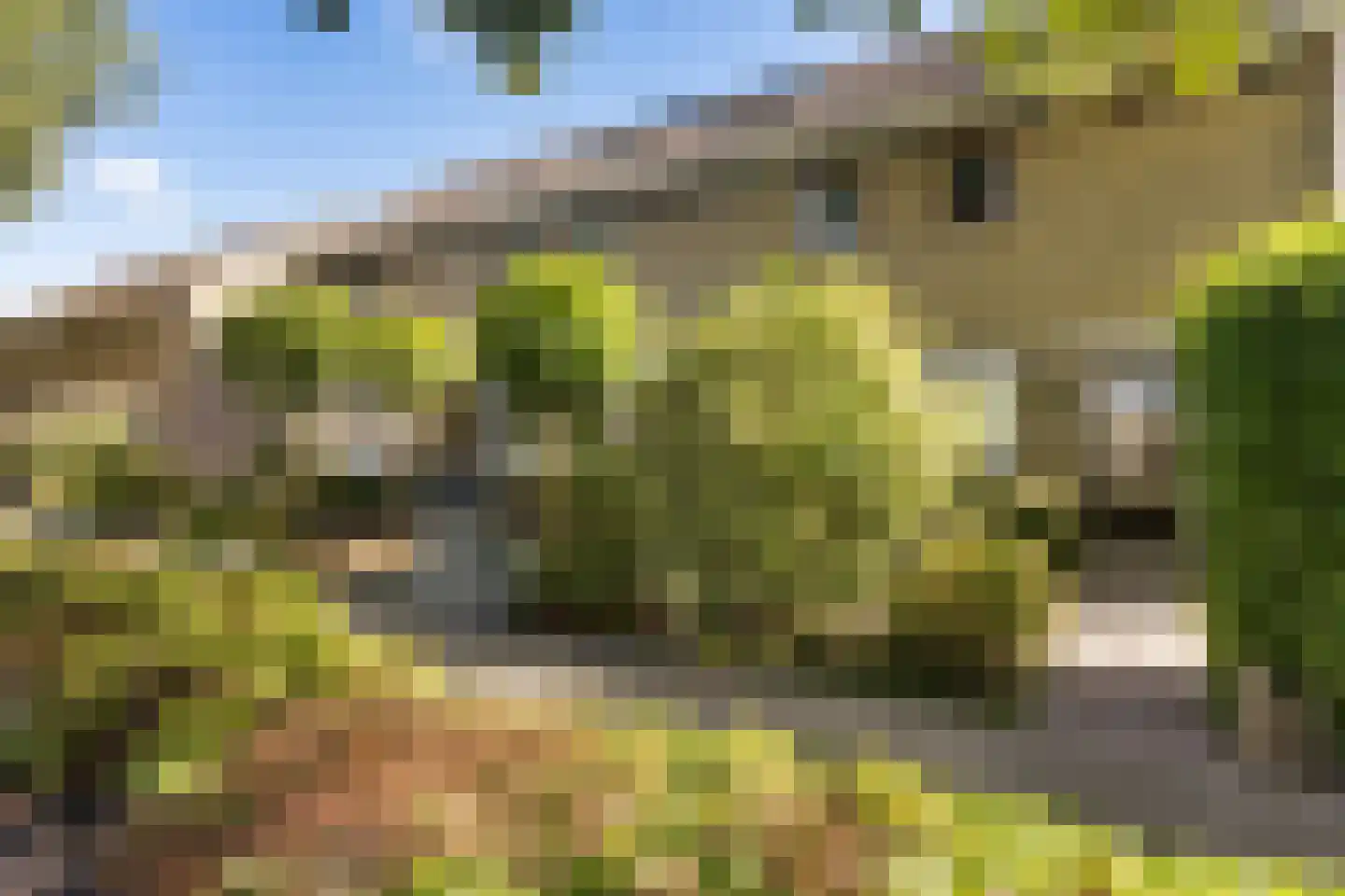 Jellen 18 Sneek thumbnail 46