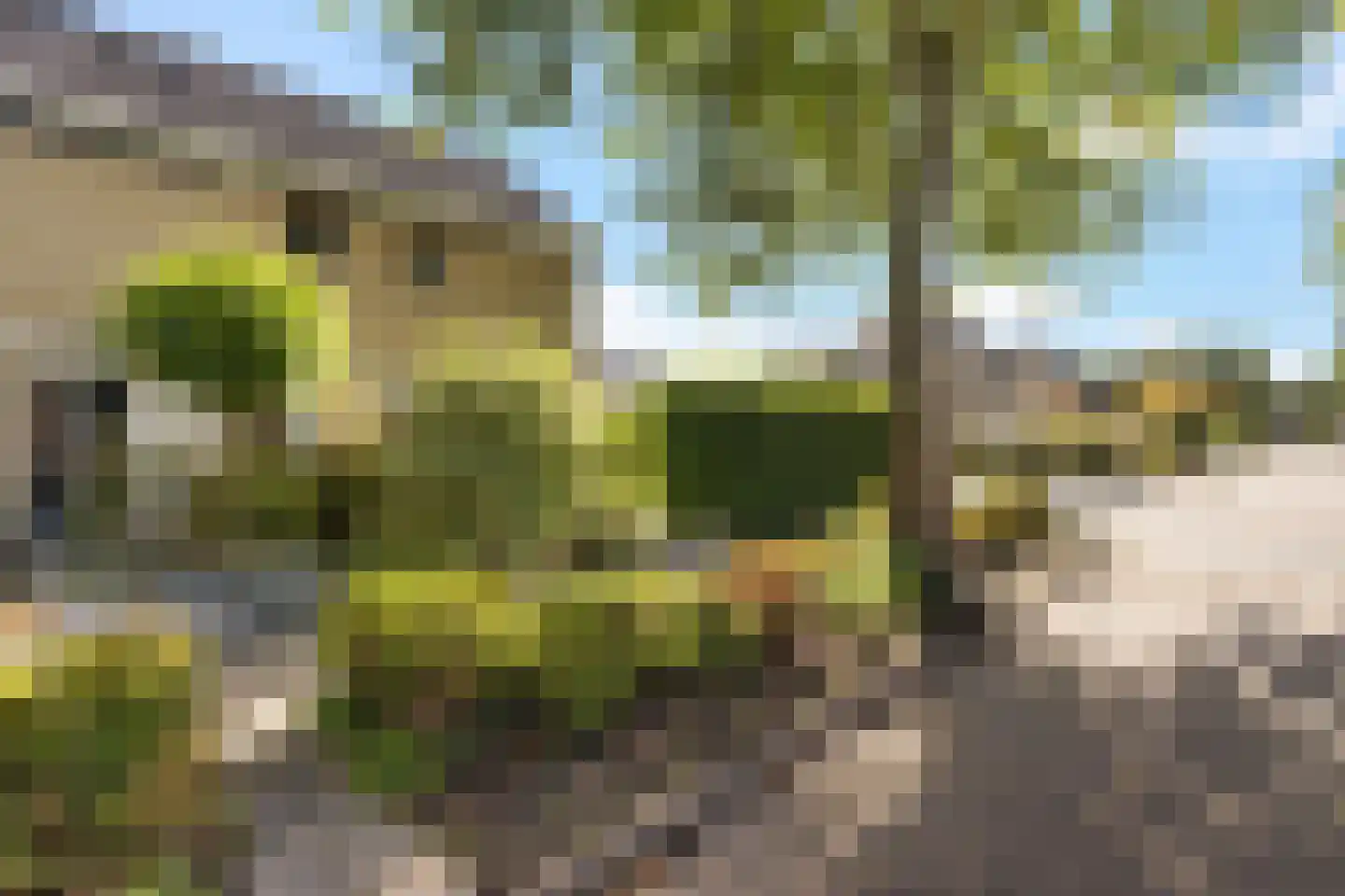 Jellen 18 Sneek thumbnail 47