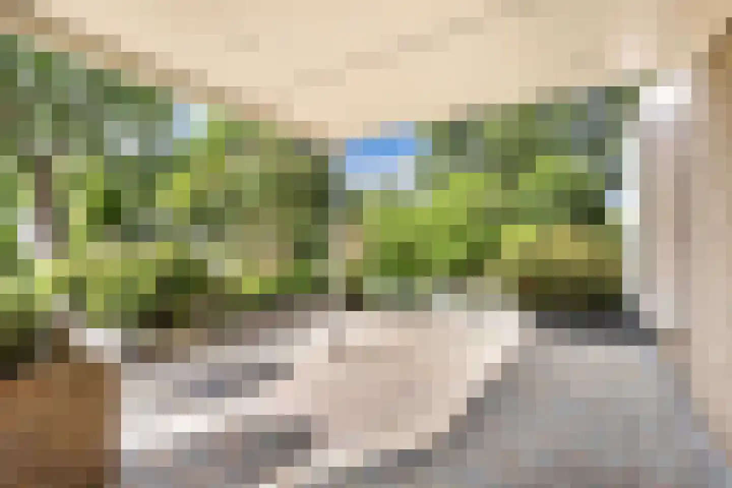 Jellen 2 Sneek thumbnail 11
