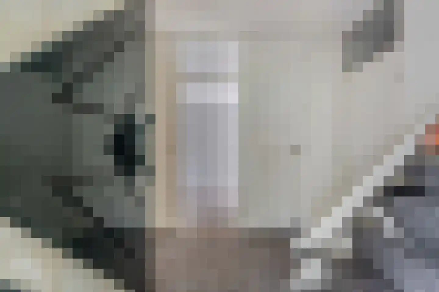 Jellen 2 Sneek thumbnail 12