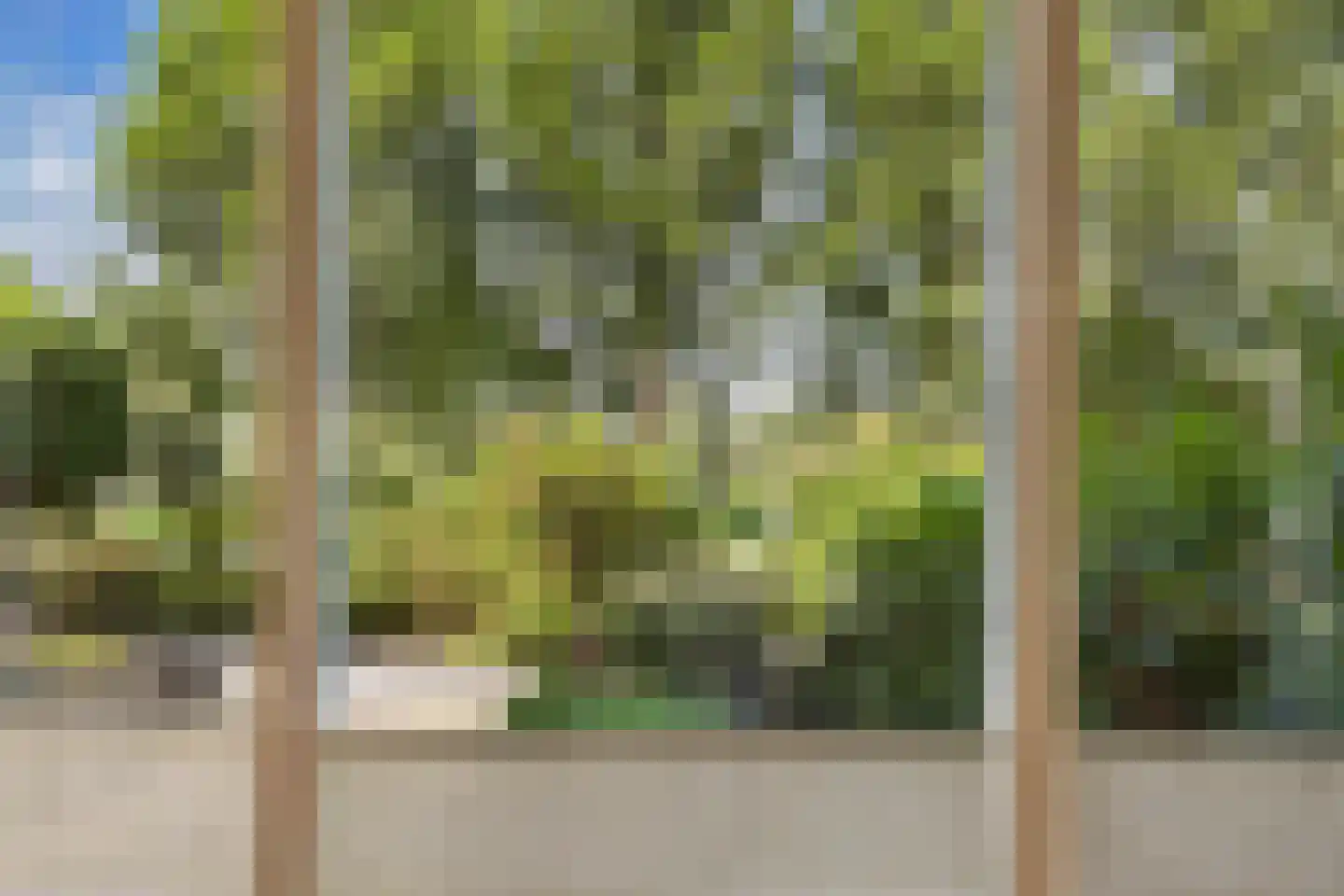 Jellen 2 Sneek thumbnail 14