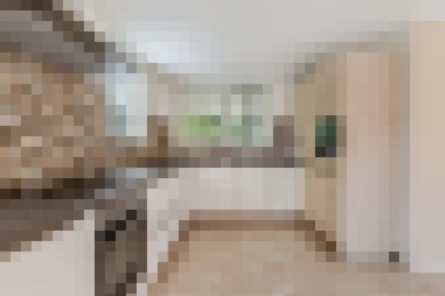 Jellen 2 Sneek thumbnail 20