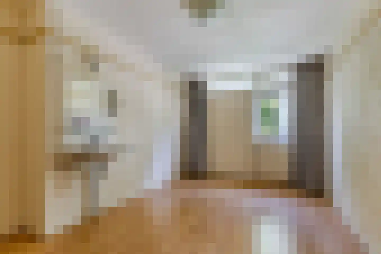 Jellen 2 Sneek thumbnail 26
