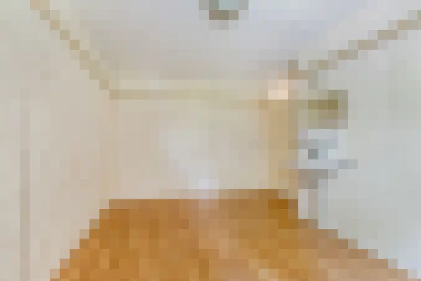 Jellen 2 Sneek thumbnail 27