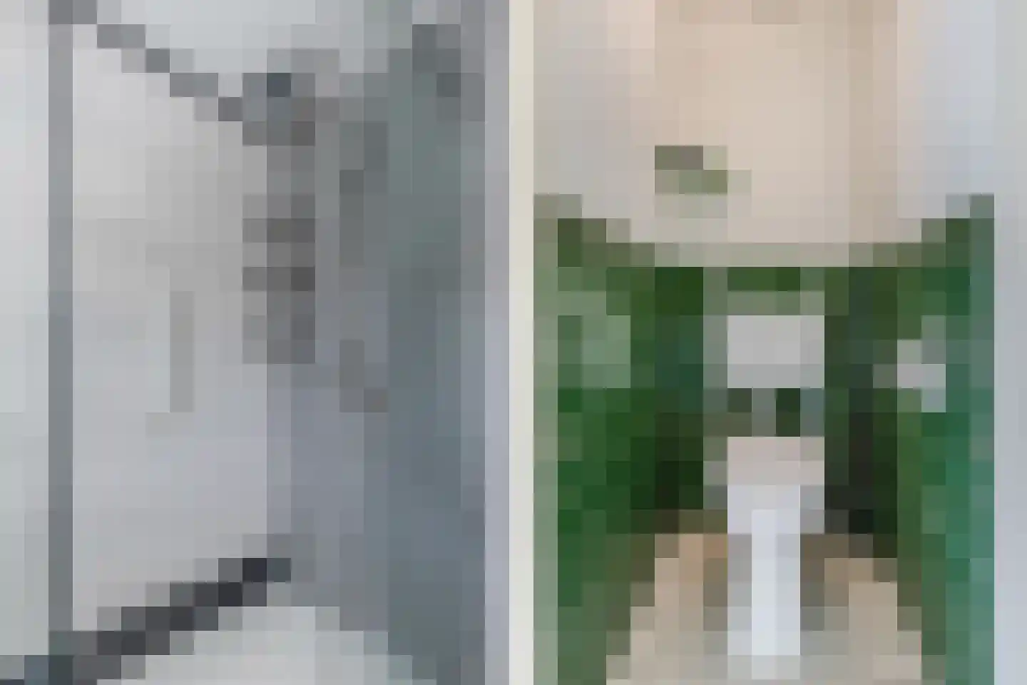 Jellen 2 Sneek thumbnail 30