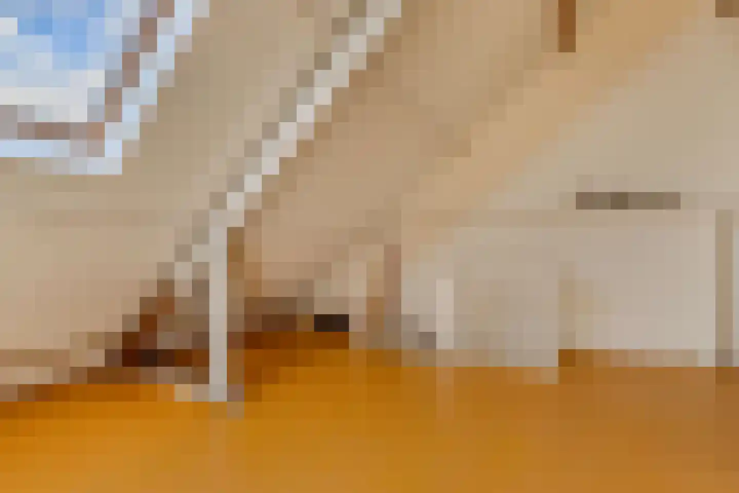 Jellen 2 Sneek thumbnail 31