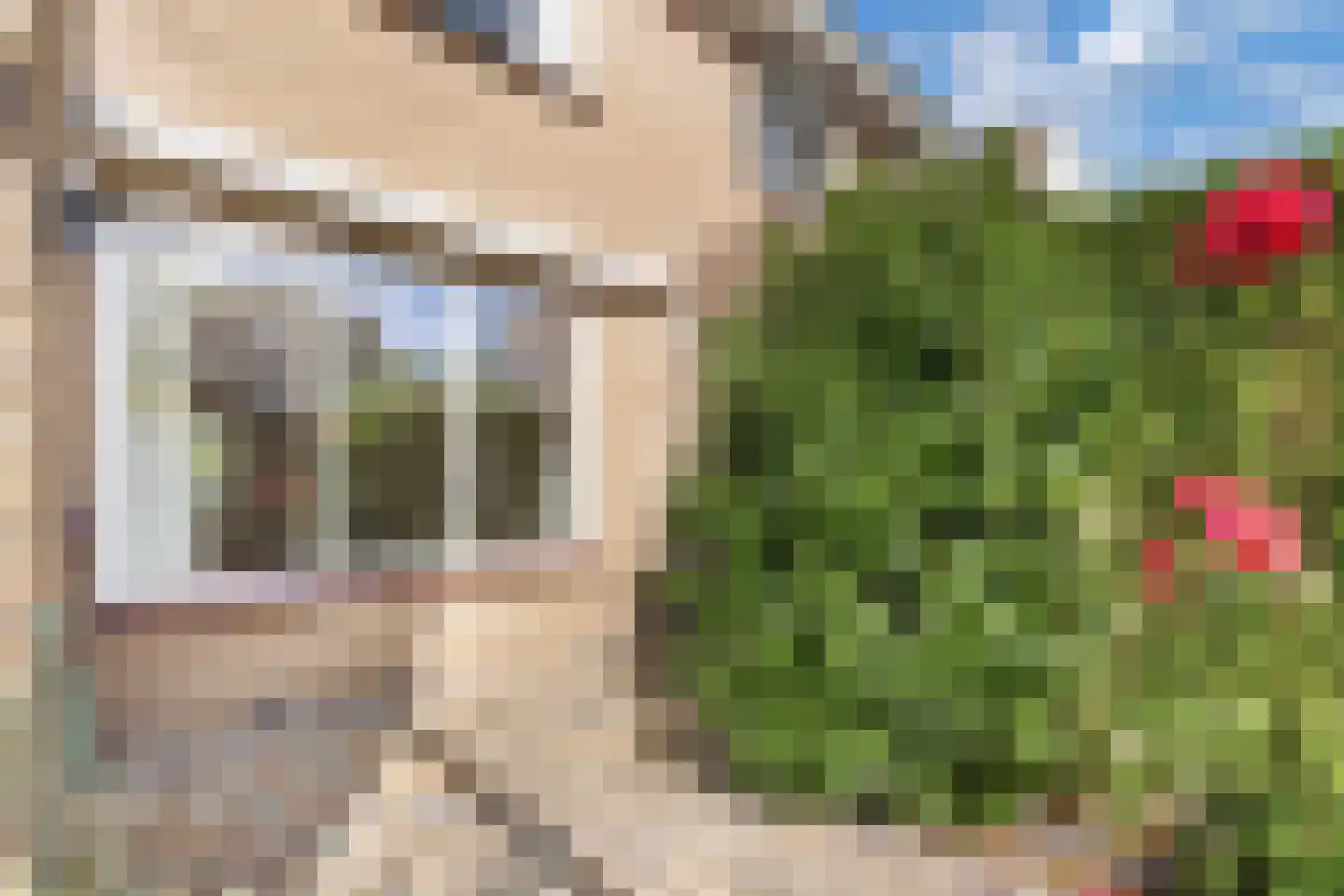Jellen 2 Sneek thumbnail 36